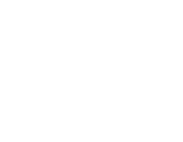 Responsible Investing